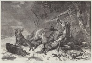 Rejsende angrebet af ulve